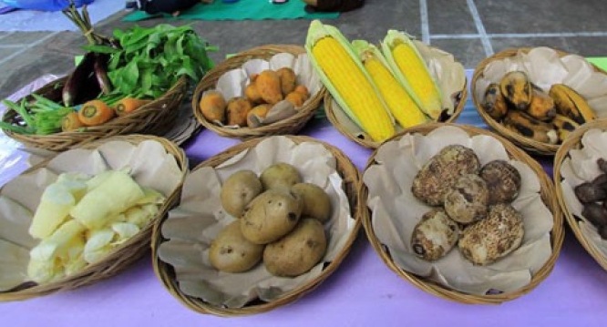 DARI LADANG LOKAL UNTUK NEGERI: MEMBANGUN KEDAULATAN PANGAN INDONESIA