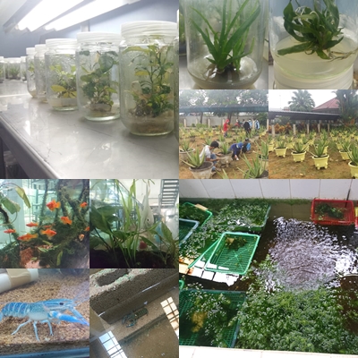 Inside UPTD Agribisnis