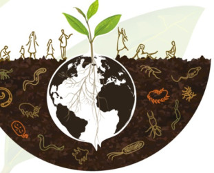 Keamanan Tanah  Pilar Ketahanan Pangan yang Berkelanjutan