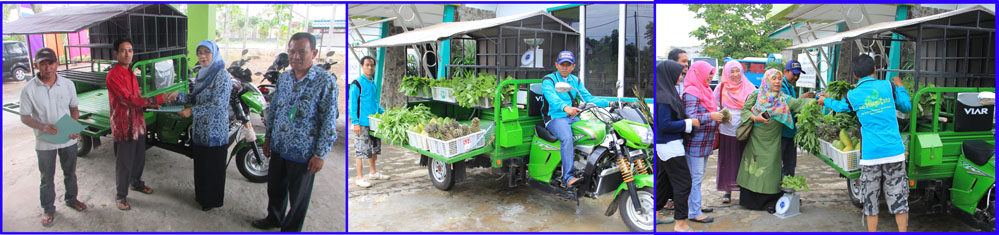 PROGRAM SAYUR SEHAT KOTA PONTIANAK TAHUN 2016