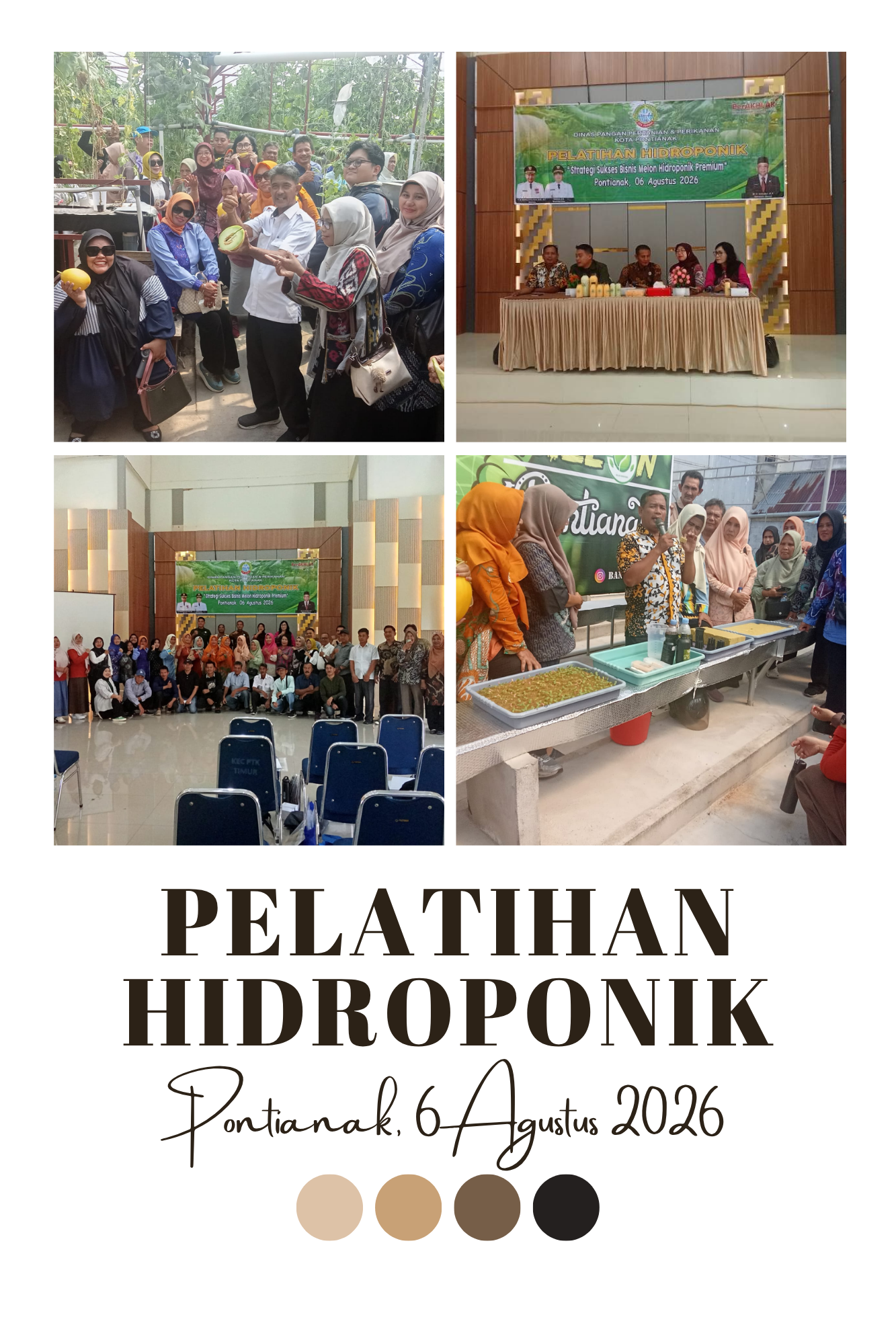 Dari Lahan Terbatas Jadi Cuan Berlimpah! DPPP Pontianak Bongkar Strategi Sukses Bisnis Melon Hidroponik Premium