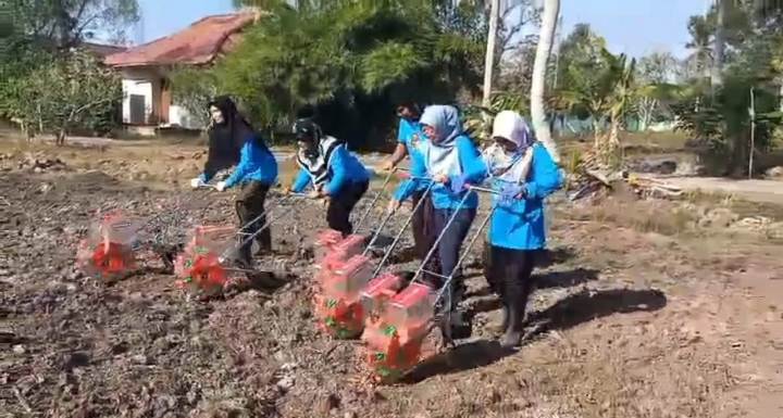 Terobosan Baru Corn Planter  di Kota Pontianak