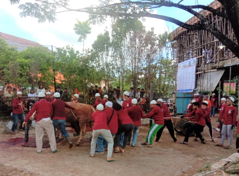 Dinas Pangan, Pertanian Dan Perikanan Kota Pontianak Tetap Aktif Melakukan Pengawasan Hewan Kurban Di Tengah Pandemi Covid-19