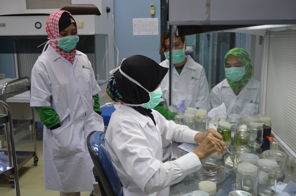PRAKTEK INDUSTRI 7 GURU SMA KABUPATEN KUBU RAYA DAN SAMBAS DI UPTD AGRIBISNIS