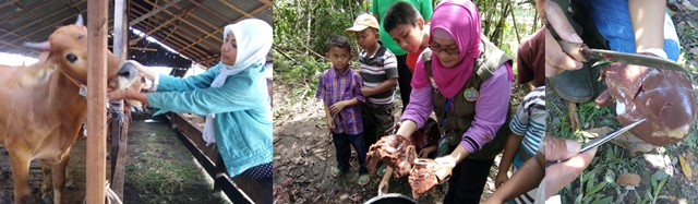 HEWAN QURBAN SEHAT DAN LAYAK EDAR KARENA DIAWASI OLEH PEMERINTAH