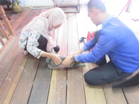 UJI COBA KEGIATAN DOKKELING