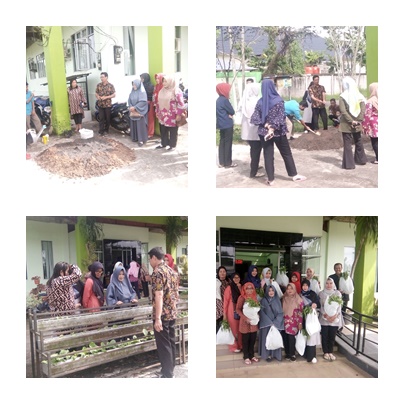 DHARMA WANITA PERSATUAN  DINAS PANGAN PERTANIAN DAN PERIKANAN KOTA PONTIANAK  MENANAM  SAYUR  SEHAT