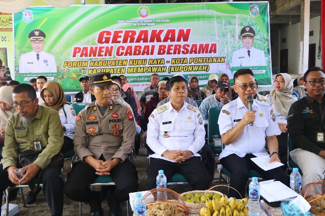 Panen Cabai Serentak TPID KUPONWAH Upaya Bersama Kendalikan Inflasi