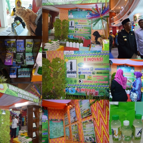 PEMERAN PEKAN LABORATORIUM INOVASI DAERAH KOTA PONTIANAK