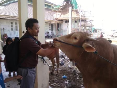 IDUL ADHA 2019 LANCAR TANPA TEMUAN PENYAKIT ZOONOSIS