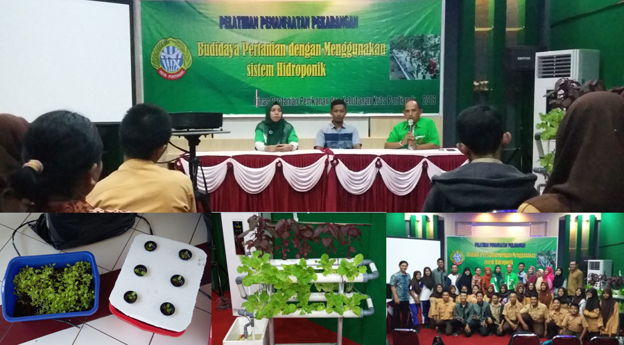 PELATIHAN BUDIDAYA TANAMAN SECARA HIDROPONIK