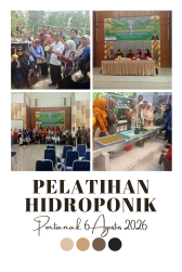 Dari Lahan Terbatas Jadi Cuan Berlimpah! DPPP Pontianak Bongkar Strategi Sukses Bisnis Melon Hidroponik Premium