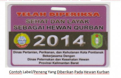 Pengawasan Pemotongan Hewan Kurban se-Kota Pontianak