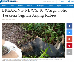 RABIES SUDAH MENCAPAI MEMPAWAH, PONTIANAK TERANCAM