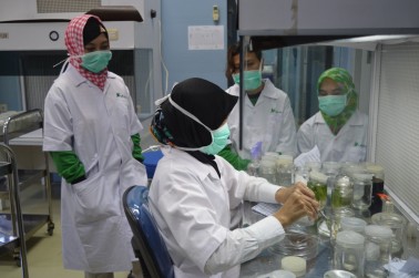 PRAKTEK INDUSTRI 7 GURU SMA KABUPATEN KUBU RAYA DAN SAMBAS DI UPTD AGRIBISNIS
