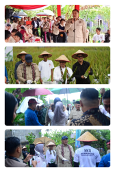 Panen Harapan di Tanah Khatulistiwa Wamentan RI dan Pemkot Pontianak Dorong Kebangkitan Lidah Buaya