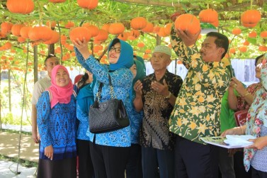 PANEN PERDANA DESA MODEL TAHUN 2017