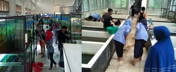 KERJA PRAKTEK AKHIR MAHASISWA POLITEKNIK NEGERI PONTIANAK DAN PDD KAPUAS HULU  DI UPTD AGRIBISNIS