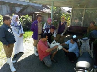 CEGAH MASUKNYA RABIES, DINAS LAKUKAN VAKSINASI RABIES DI WILAYAH PERBATASAN