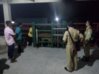 PENGENDALIAN PEMOTONGAN BETINA PRODUKTIF DI RPH SAPI KOTA PONTIANAK UNTUK MENDUKUNG UPSUS SIWAB 2017