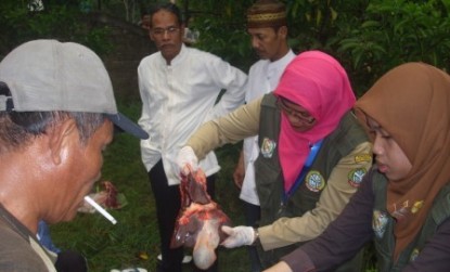 Cacing Pita, Cacing Mata dan Pneumia Ditemukan pada Hewan Kurban