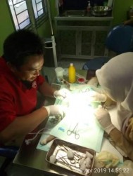 STERILISASI KUCING GRATIS MENDUKUNG PENGENDALIAN POPULASI  HEWAN PENULAR RABIES (HPR) DI PUSKESWAN KOTA PONTIANAK