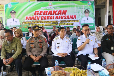 Panen Cabai Serentak TPID KUPONWAH Upaya Bersama Kendalikan Inflasi