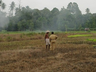 Petani Kota Pontianak Mulai Musim Tanam Padi