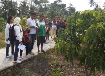 Studibanding Peserta (SL-GAP) Buah Lengkeng Ke Kebun Pembibitan Lengkeng