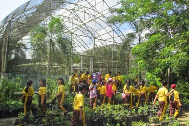 WISATA PENDIDIKAN SISWA/SISWI SD SWASTA GEMBALA BAIK, BERKUNJUNG KE UPTD AGRIBISNIS