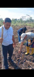 KEGIATAN MENANAM JAGUNG