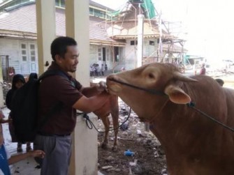 IDUL ADHA 2019 LANCAR TANPA TEMUAN PENYAKIT ZOONOSIS