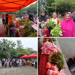 HARGA SAYUR MELAMBUNG DI TENGAH KEMARAU,  DINAS PANGAN PERTANIAN DAN PERIKANAN KOTA  PONTIANAK  TURUN TANGAN GELAR OPERASI PASAR SAYUR MURAH