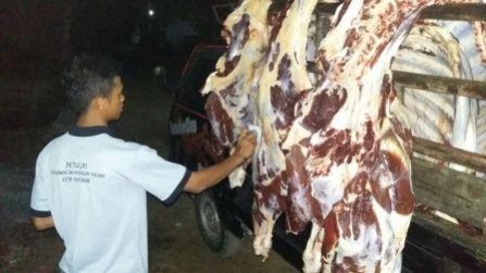 PEMOTONGAN TERNAK DI KOTA PONTIANAK JELANG IDUL FITRI 2016 MENINGKAT DARI TAHUN 2015